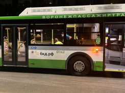 Поездка в автобусе №49 закончилась для женщины попаданием в больницу в Воронеже 