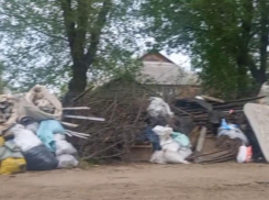 Великая мусорная стена выросла в Воронеже