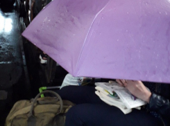 Пассажирка автобуса спасалась от дождя в салоне зонтом в Воронеже