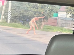 Обнаженная зарядка попала на фото в Воронеже