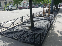 Новые клумбы в Воронеже сравнили с могильными оградками