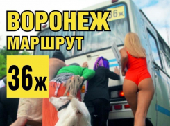 Стереотипы о маршрутках искрометно высмеяли в Воронеже