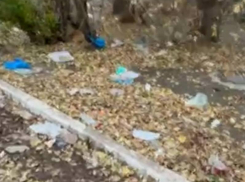 «Как тут люди живут?»: воронежец зашёл во двор и удивился