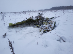 Опубликовано первое видео с места крушения воронежского АН-148