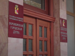 По 15 тысяч с депутата: Воргордума отчиталась о помощи участникам СВО