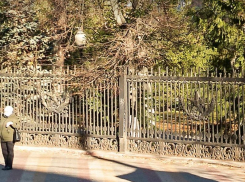 Проект сохранения исторической ограды Первомайского сада разработают в Воронеже