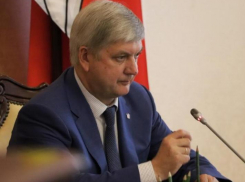 Александру Гусеву отвели 1,5 года на спасение имиджа губернатора