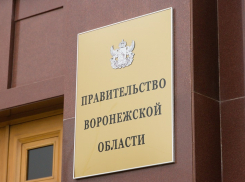 «Швейцарцы» и «китайцы» решат половой вопрос в воронежском правительстве