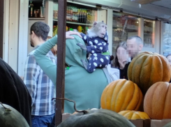 Необычный покупатель с хвостом привлек внимание воронежцев на рынке