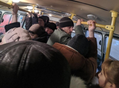 Облучатель транспорта от вирусов и бактерий придумали в Воронеже