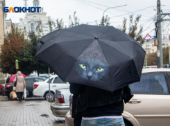 Стало известно, когда в Воронеж вернутся осадки 