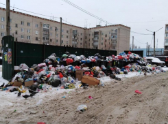 Сколько можно держать нас за скот, – воронежцы в адрес скандальной УК
