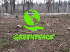 «Greenpeace» о ситуации в заказнике: «Блокнот Воронеж» поднял целый комплекс важных проблем!»