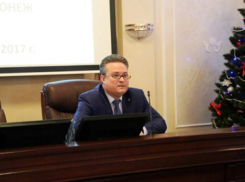 Новый мэр назвал лучший подарок для воронежцев к Новому году