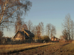 Воронежским селянам из федерального бюджета выделят 2 млрд. рублей