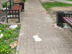 Воронежцы встали на защиту чиновников после неприглядного видео