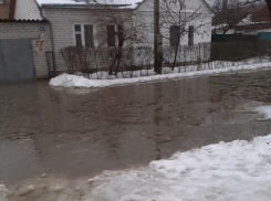 Океан талой воды и грязного снега отделяет воронежских школьников от знаний