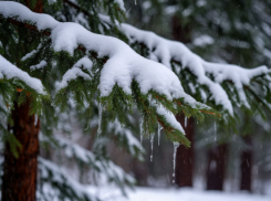 Зима сдает позиции: погода готовит воронежским дорогам неприятный сюрприз