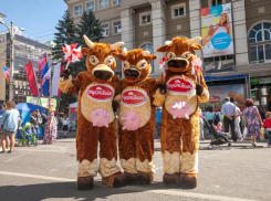 «Молвест» отказался от Дня города в Воронеже ради помощи курянам