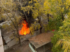 Сильный пожар разгорелся около детского сада в Воронеже – опубликовано видео