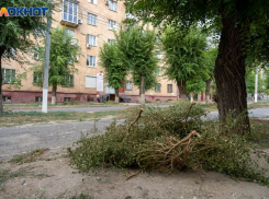 Сильный ветер продлил Воронежской области желтую зону погодной опасности 