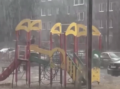 Счастливый досуг вопреки дождю попал на видео в Воронежской области