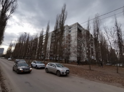 «Не ступала нога сантехника»: плесень, насекомые и зловонные озера взяли в заложники многоэтажку в Воронеже 