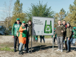 Установили лавочки и показали, куда выбрасывать мусор – Росприроднадзор и Россельхозбанк облагородили воронежский пляж 