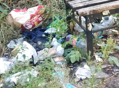 О детской площадке, превратившейся в помойку, рассказали жители центра Воронежа