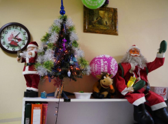 Позитивное убранство стола ковидной медсестры раскрыли в Воронеже 