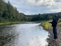 Заядлый рыбак выловил 25 судаков из Воронежского водохранилища и влетел на 82 тысячи рублей