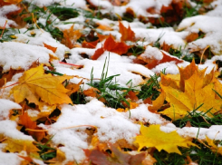 Зимнюю погоду пообещали синоптики в ноябре в Воронеже