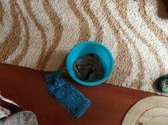 Протекающую крышу в Воронеже пообещали починить через три месяца