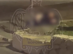 Любовные ласки на тротуаре попали на видео в Воронеже