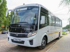 Уникальный для Воронежа автобус сравнили с легендарной метлой Гарри Поттера 