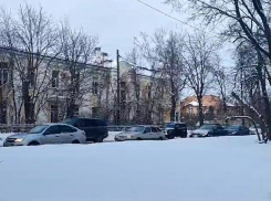 Почему «гениальный план по размножению пробок» сработал в Воронеже