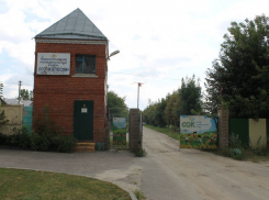 В детском лагере «Колосок» под Воронежем вспыхнули два дома