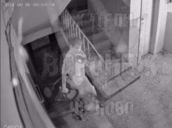 Подлый поступок попал на видео в Воронеже