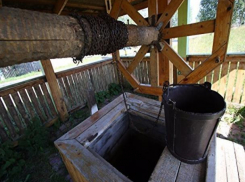 Соседям загадочно погибших в Воронеже мамы и младенца запретили пить воду из колодцев