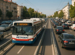 Как могла бы выглядеть схема метробуса, показали в Воронеже