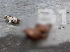 Жуткую секс-куклу обнаружили в неожиданном месте в Воронеже