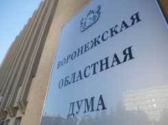  Выплаты для детей с редким заболеванием предложили ввести депутаты Воронежской областной Думы