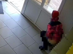 Курьер испражнился под камерами в воронежском ЖК 