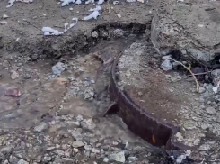 «Размыло полдвора»: масштабная коммунальная авария попала на видео в Воронеже