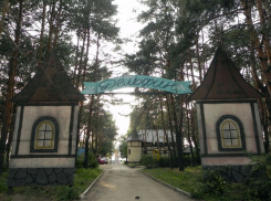 Воронежский парк «Дельфин» передали в концессию на 25 лет