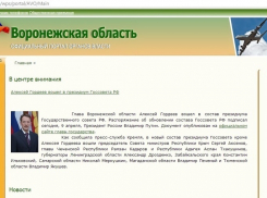 Ресурсы правительства Воронежской области стали рекордсменами в России - на них потратили более 22 миллионов рублей