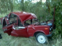 В Воронежской области водитель «шестерки» врезался в дерево (ФОТО)