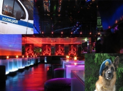 В Воронеже 20-летняя девушка «заминировала» ночной клуб