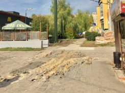 Плиточное месиво устроили у McDonald’s в Воронеже