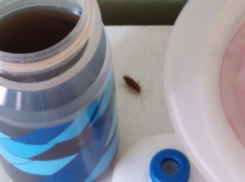 Отвратительного соседа воронежских пациентов показали на фото